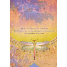 TREE FREE WHAT LIES BEHIND